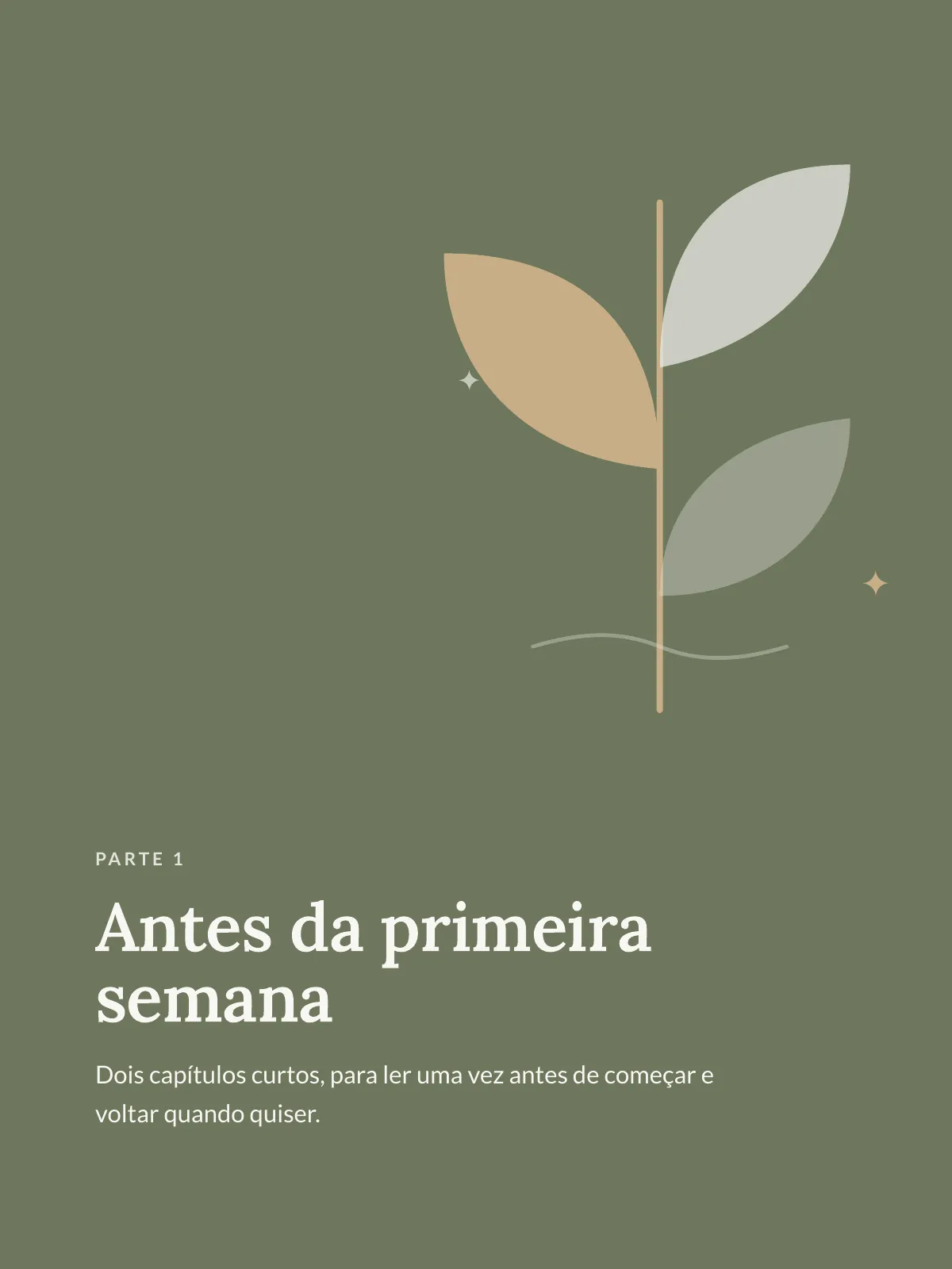 Página 3 de Diário entre sessões